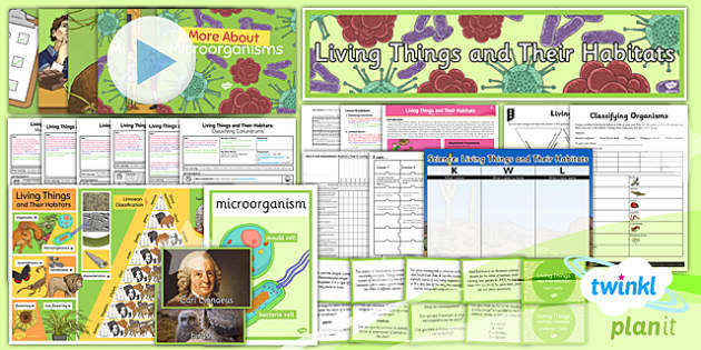 Design a Habitat Activity Sheet (teacher made) - Twinkl