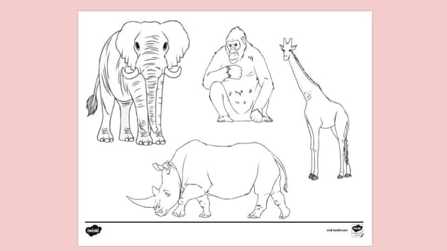 FREE! - Animal Colouring Sheet PDF | Colouring Sheets