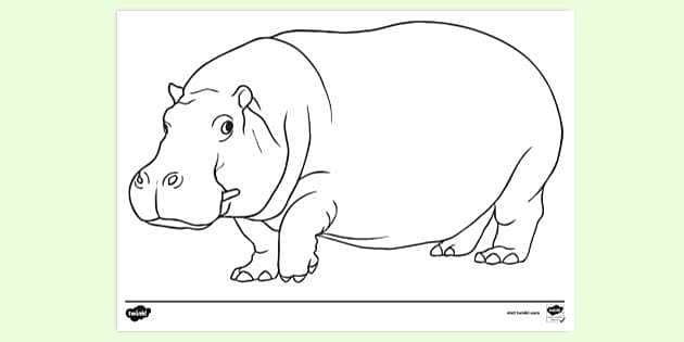 hippo coloring pages