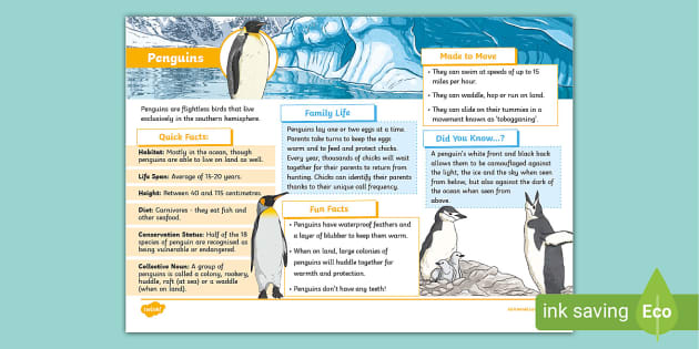 Penguins Fact File - Twinkl - KS2 - Animals (teacher made)