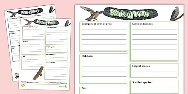 Birds of Prey Fact File Template (teacher made) - Twinkl