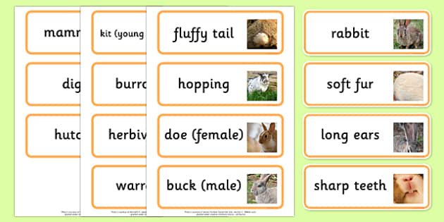 Rabbit Word Cards (teacher made) - Twinkl