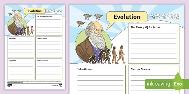 Evolution Fact File Template (teacher made) - Twinkl