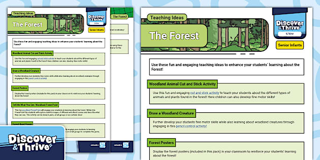 STEM (Materials) The Forest Teaching Ideas (Senior Infants)