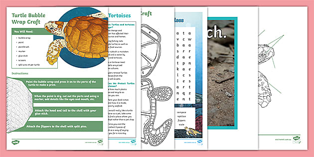 Turtles and Tortoises for Older Students Activity Pack