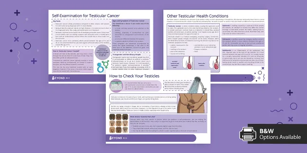 Testicular Self Examination Fact Sheets teacher made