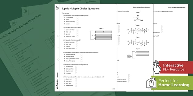 Lipids Multiple Choice Questions | A Level Biology | Beyond