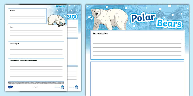 Polar Bears Non-Chronological Report Template (teacher made)