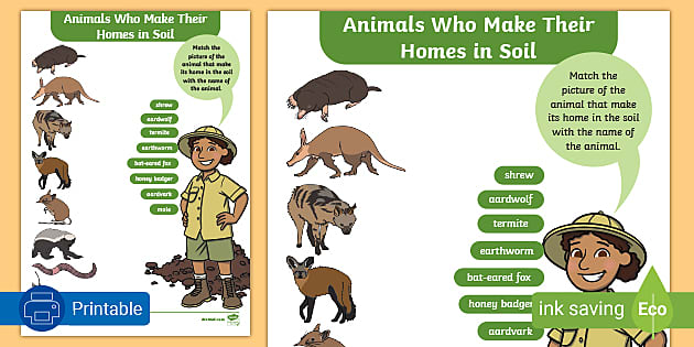 Animals Who Make Their Homes in Soil Activity (teacher made)