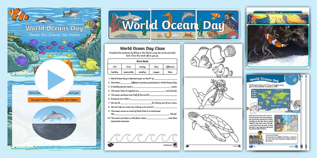 World Oceans Day Resource and Activity Pack | Twinkl