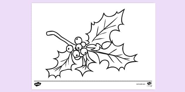 FREE! - Christmas Holly Colouring Page