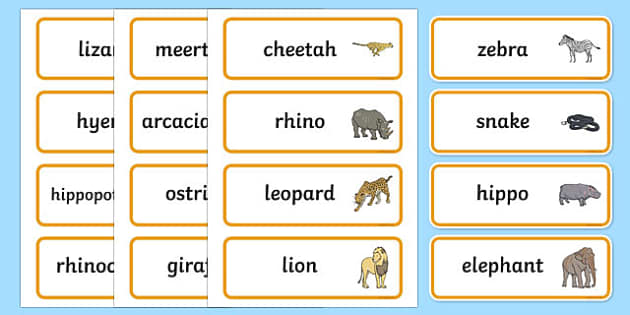 safari word online