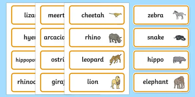 FREE! - Safari Word Cards (teacher made) - Twinkl