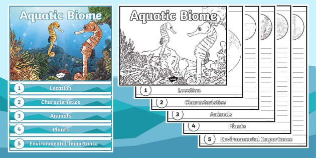 Aquatic Biome Flipbook | Ecosystems | 4th Grade | Twinkl USA