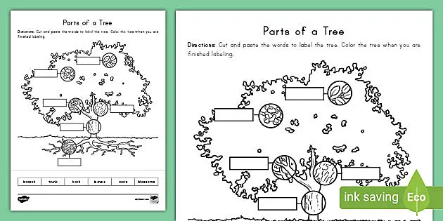 Parts of a Tree Cut and Paste Activity | Twinkl USA - Twinkl