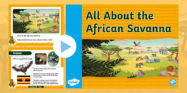 Kindergarten All About the African Savanna Information PowerPoint