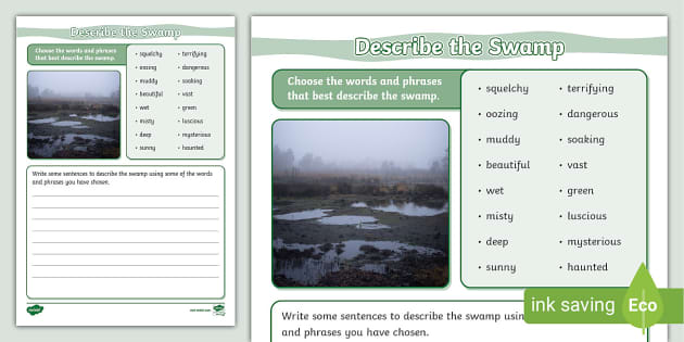 Describe the Swamp Worksheet (Teacher-Made) - Twinkl