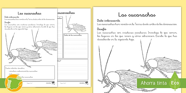 Hoja informativa: Las cucarachas (l'insegnante ha fatto)