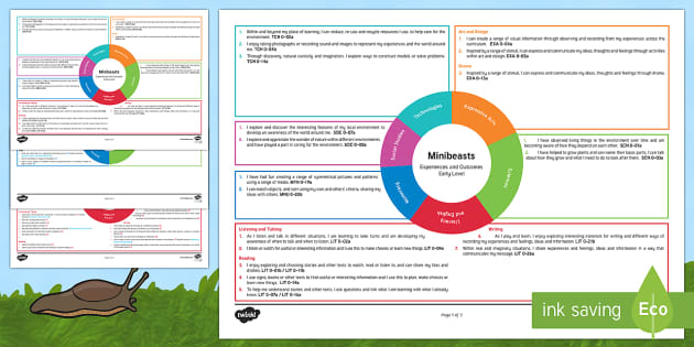 Minibeasts Early Level CfE Interdisciplinary Topic Web