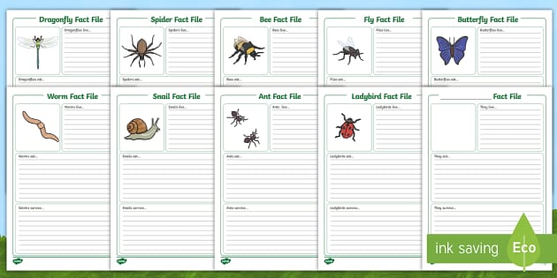 Minibeasts Information Fact File Sheets - Primary Resources