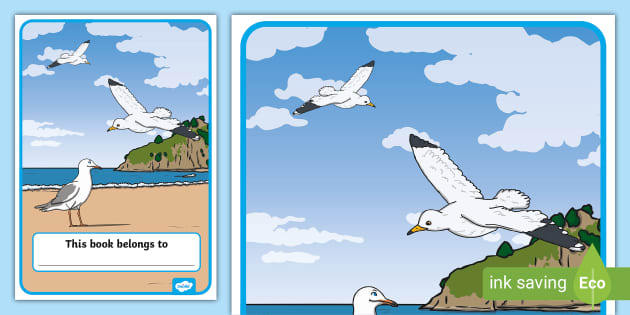 seagull-book-cover-teacher-made-twinkl