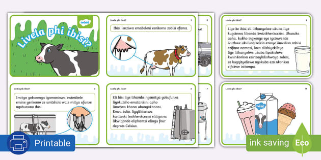 *Livela Phi Ibisi? Where does Milk come from? - Flashcards*