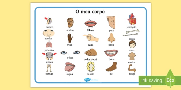 Cartões de Fatos Gerais sobre o Brasil (Teacher-Made)