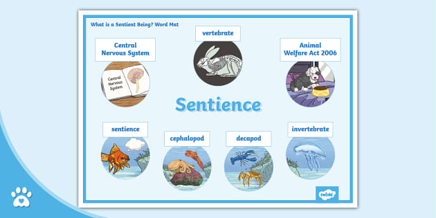 What is a Sentient Being? - Word Mat - Sentience - Twinkl