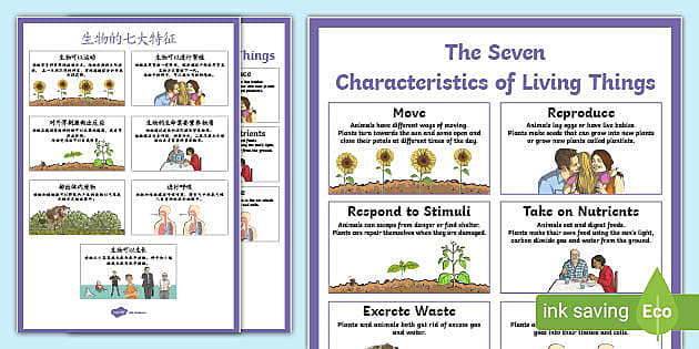 Characteristics Of Living Things Display Poster English Mandarin Chinese