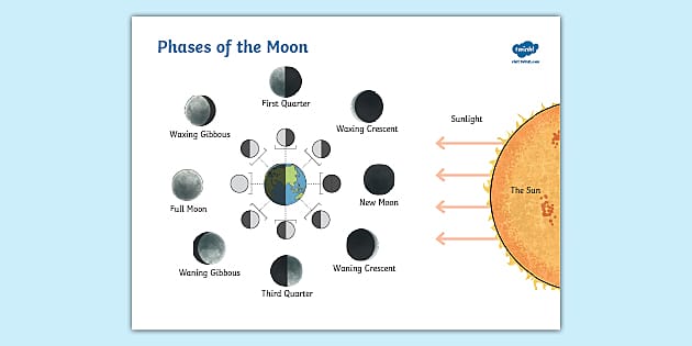 Southern Hemisphere Phases of the Moon Display Poster