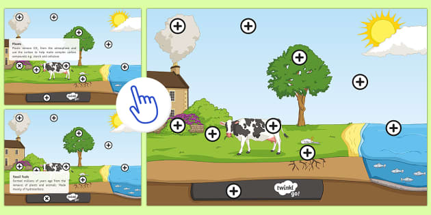 Carbon Cycle Picture Hotspot (teacher made)