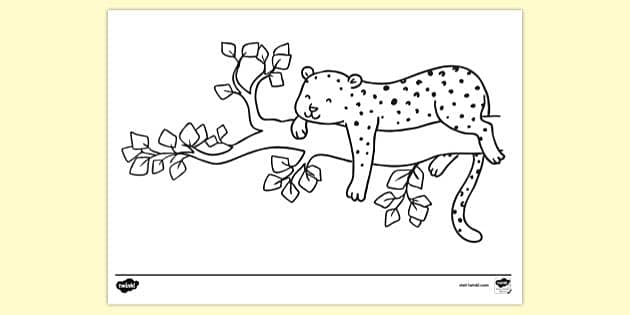 Leopard Colouring Sheet (teacher made) - Twinkl