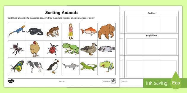 Sorting Animals into Groups Worksheet - Teacher-made