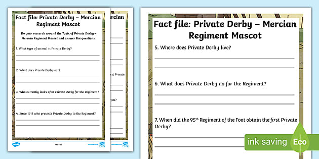 FREE! - Staffordshire Regiment Museum Fact Activity Sheets