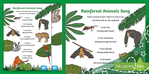 Rainforest Animals Song for Kids Lyrics (teacher made)