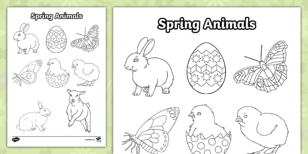 Spring Worksheets For Preschool: Colouring-In I Resource