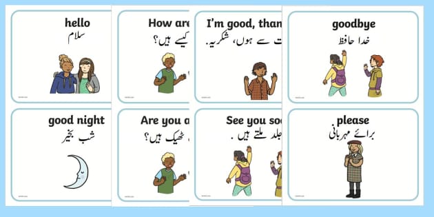 Ask meaning translation on - English to Urdu Dictionary