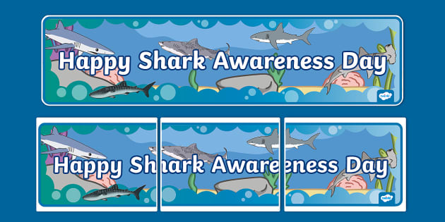 Happy Shark Awareness Day Display Banner (teacher made)