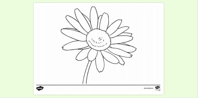 Daisy Flower Sheet