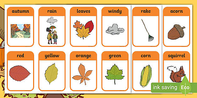 Autumn Flashcards  Twinkl Teacher-Made Learning Resources