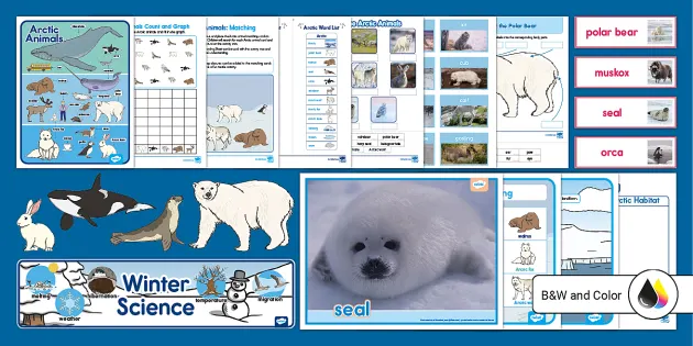ARCTIC ANIMALS PACK - Theme Unit with Posters, Photos, Games and Activities