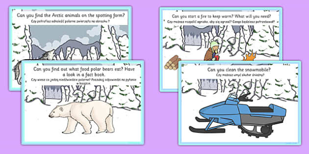 Arctic Explorer Role Play Challenge Cards Polish Translation