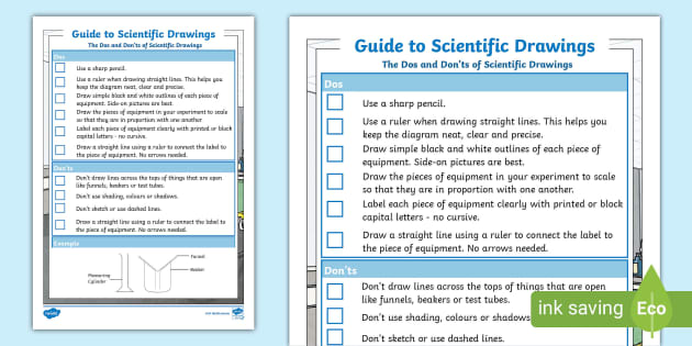 Scientific Drawing Guidelines Fact Sheet (Lehrer gemacht)