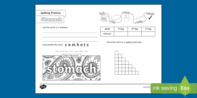 Stomach Spelling Practice Worksheet (teacher made) - Twinkl