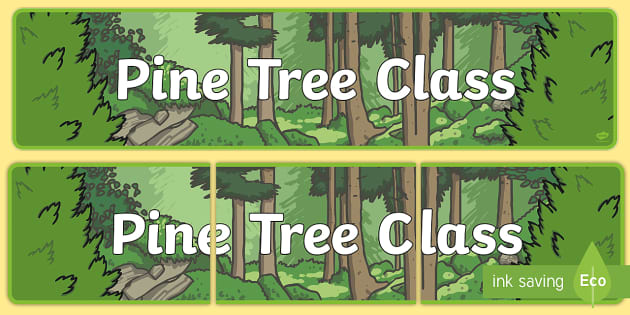 Free Pine Tree Themed Classroom Display Banner Twinkl 6401