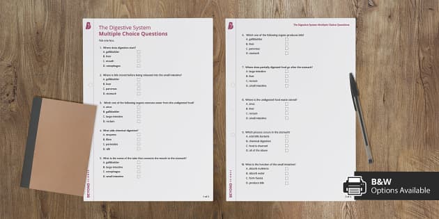 The Digestive System Multiple Choice Questions - Twinkl