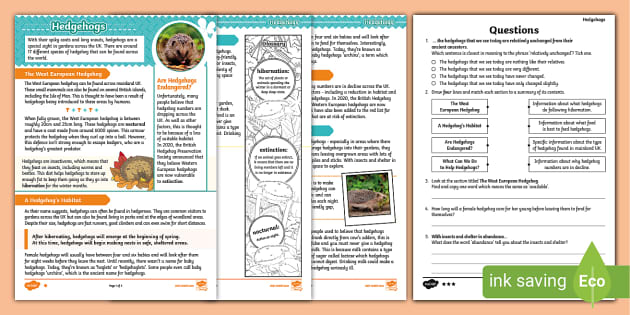 UKS2 Hedgehogs Differentiated Reading Comprehension Activity