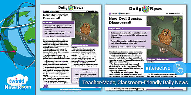 New Owl Species Discovered -Daily NewsRoom Article (ages 9-11)