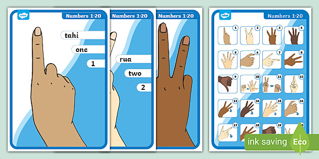 NZ Sign Language Numbers Posters | 1 to 20 | New Zealand