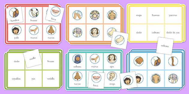 Bingo infantil: Partes del cuerpo (Teacher-Made) - Twinkl